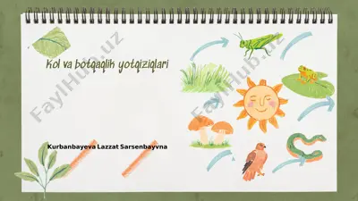 kol va botqaqlik yotqiziqlari — PPTX