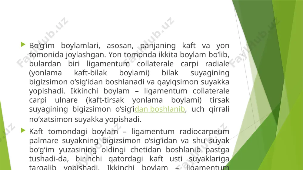 qoʻlning erkin suyaklari birlashmalari - Page 5