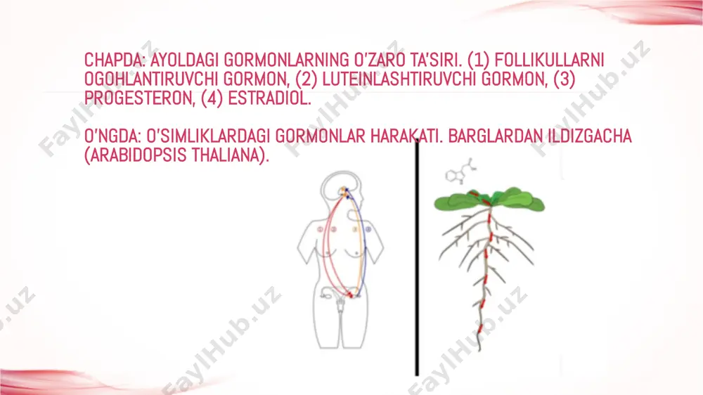 kanalchalarida natriy tuzlari koʻproq qayta soʻrilib, organizmda ushlanib qoladi. demak, gormonlar maʼlum miqdorda ishlanib chiqib, moddalar almashinuvini va organizmning boshqa funksiyalarini taʼminlaydi. zoho show загрузите zoho show из play store https://zoho.to/cy7 для создания привлекательных презентаций gormonlar.pdf (этот файл pdf сгенерирован в zoho show)