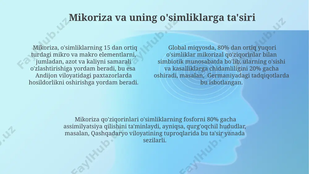 chi giberellin va abscisik kislota kabi fitohormonlarni yetkazib beradi. braziliya olimlarining tadqiqotlari shuni ko‘rsatdiki, mikoriza zamburug‘lari, o‘simlik ildizlariga ta'sir qilib, 5-10% miqdorida o‘sishni tartibga soluvchi etilen va absiss kislotasi kabi fitohormonlarni ajratadi, bu esa ildiz tizimining rivojlanishiga sezilarli ta'sir ko‘rsatadi. mikroorganizmlar, xususan, pseudomonas va bacillus turlari, o‘simliklarning o‘sishini rag‘batlantiruvchi auksin va sitokinin kabi 10 dan ortiq fitohormonlarni ishlab chiqarishi mumkin, bu esa 20% gacha hosildorlikni oshirishi mumkin. e'tiboringiz uchun rahmat @taqdimot_robot image1.png