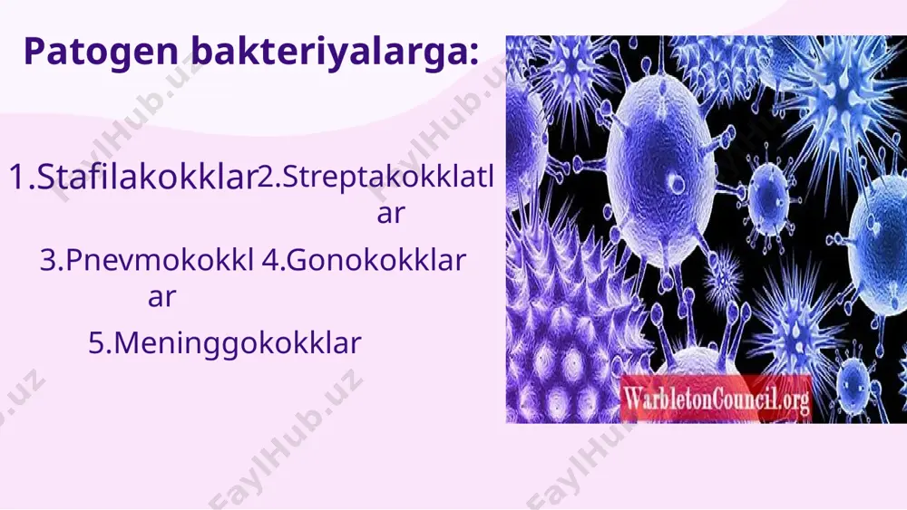 shartli patogen mikroorganizmlar - Page 3