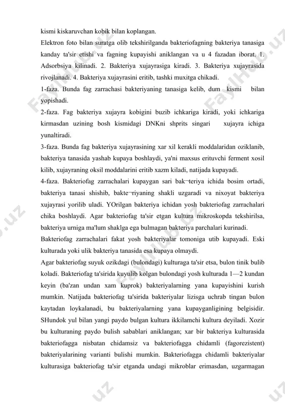 kteriyalarning yana kupayganligining belgisidir. shundok yul bilan yangi paydo bulgan kultura ikkilamchi kultura deyiladi. xozir bu kulturaning paydo bulish sabablari aniklangan; xar bir bakteriya kulturasida bakteriofagga nisbatan chidamsiz va bakteriofagga chidamli (fagorezistent) bakteriyalarining varianti bulishi mumkin. bakteriofagga chidamli bakteriyalar kulturasiga bakteriofag ta'sir etganda undagi mikroblar erimasdan, uzgarmagan xolda saklanib koladi, keyinchalik bular kupayib ikkilamchi kulturani xosil kiladi. ikkilamchi kultura xosil kiluvchi mik¬roblar lizogen kul'turalar deyiladi. fagorezistent bakteriyalar varianti bakteriofagga chidamsiz bakteriyalar variantidai morfologik kultural, bioximik jixatdan fark kilmasa xam, antigenlik xususiyatlari bilan ancha fark kiladi. fagorezistent bakteriyalar bakteriofagning bir shtammiga (nusxasiga) chidamlik bulsa xam, shu bakteriofag¬ning ikkinchi shtammi ta'sirida ular xam уemirilishi mumkin. demak ikkilamchi kultura uziga xos bakterio¬fag bulgandagina erib lizisga uchrashi mumkin. bakteriofagning spetsifik xususiyatlari bakteriofagning asosiy xususiyatlaridan biri, ayrimlari fakat bir xil bakteriyanigina lizisga uchrata oladi. bu uning uziga xos xususiyatidir. bakteriofagning bunday xususiyatini yaxshilab tekshirilishi natijasida bu uning juda xam sezgi xususiyat ekanligi aniklandi. ba'zi bakteriofag …