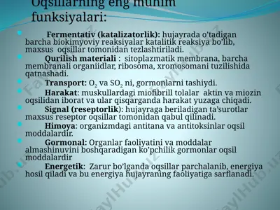 fermentativ (katalizatorlik) — PPTX