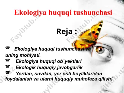ekologiya huquqi tushunchasi — PPTX