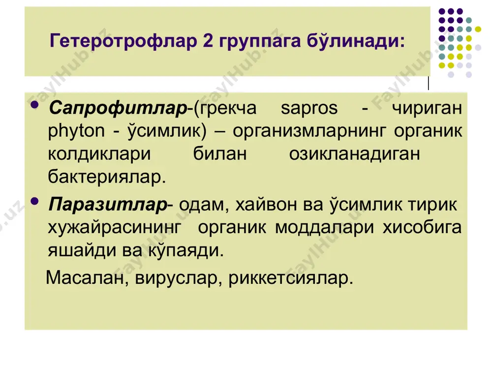 bakteriyalar fiziologiyasi - Page 5