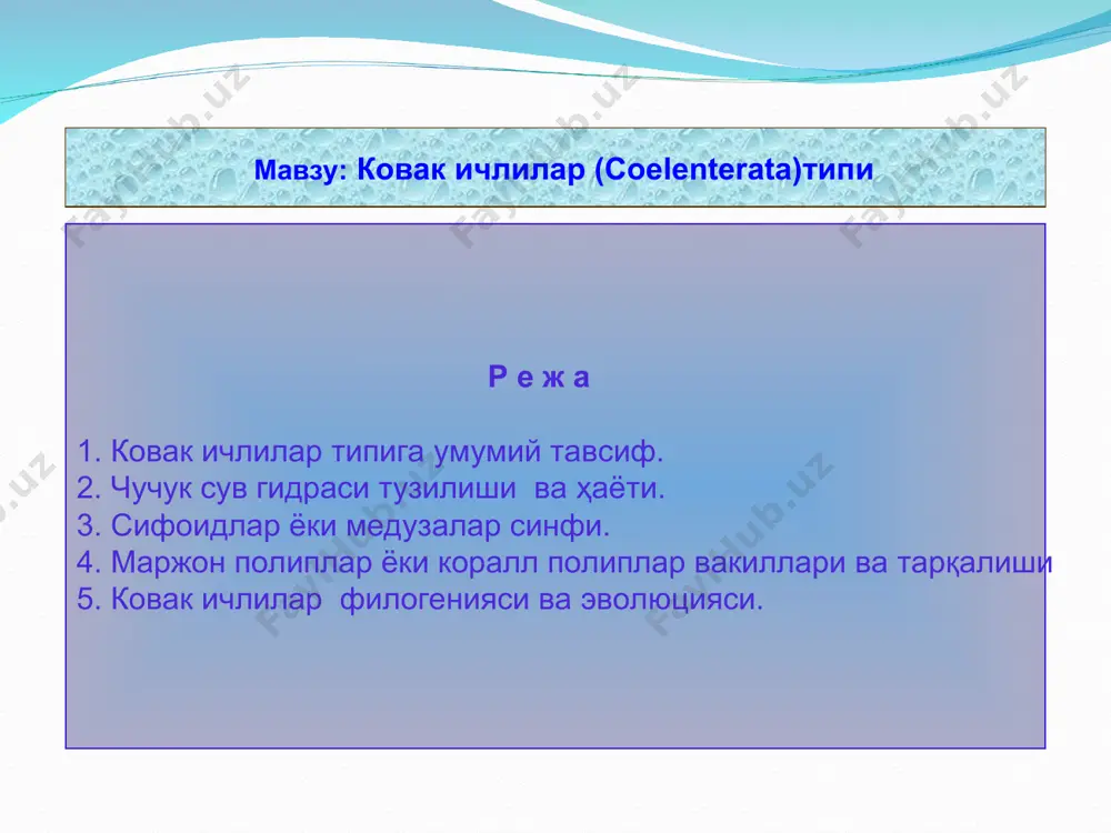ковак ичлилар (coelenterata) типи - Page 2