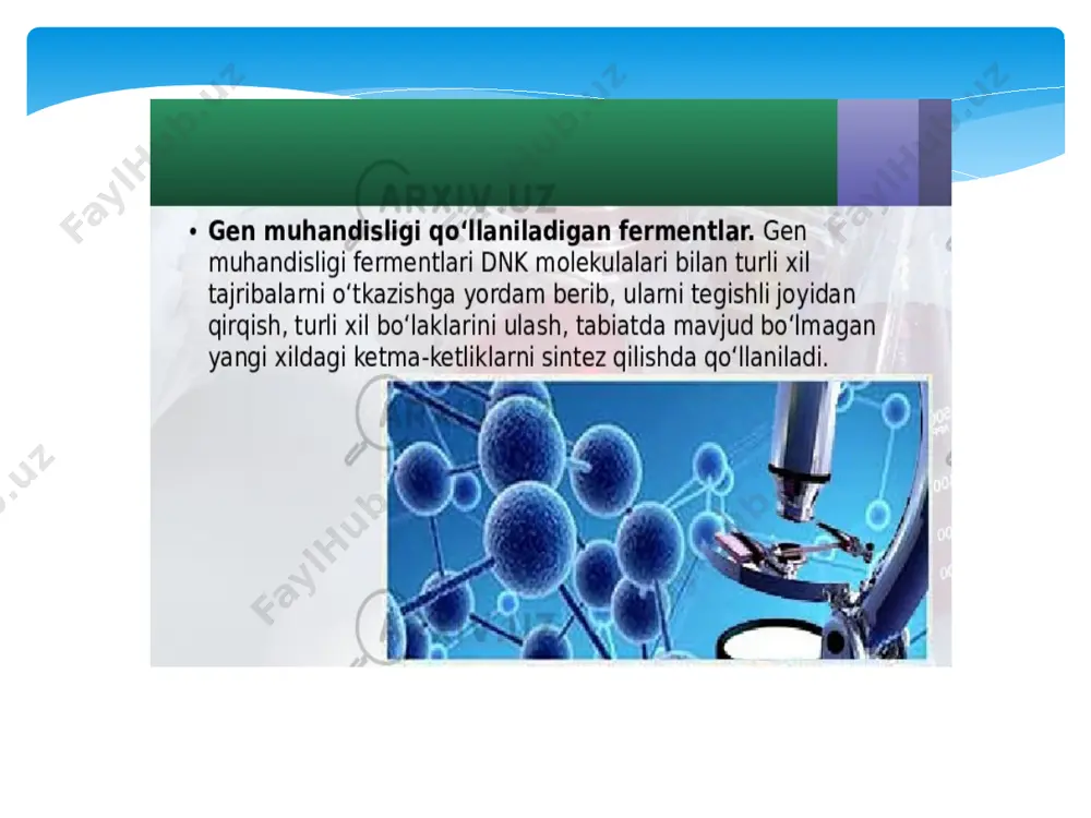 gen muhandisligida qo'llaniladigan fermentlar - Page 3