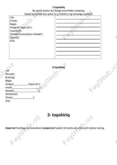 dastur kamchiliklarini aniqlash — DOCX