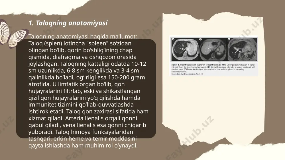 ka zarur. surunkali aspleniya bilan yashayotgan kishilar yirik infeksiyon oqibatlardan himoya qiluvchi ehtiyot choralarini ko'rishlari kerak. bu holatda antibiotiklar bilan profilaktik davolash va maxsus emlash tavsiya etiladi. taloq tugʻma anamoliyalari toshpoʻlatova maxliyo davolash 331 guruh e'tiboringiz uchun raxmat! image1.png image2.png image3.png image4.png image5.png image6.jpg /docprops/thumbnail.jpeg