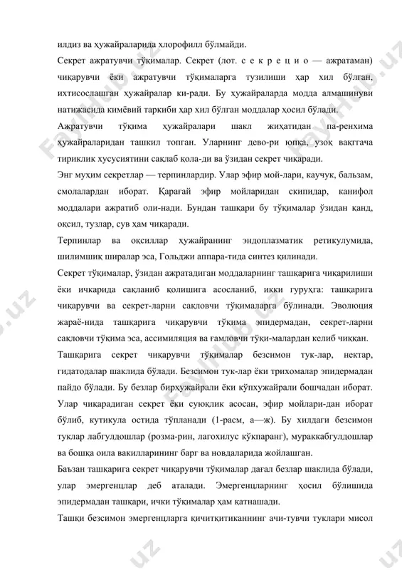 ц нинасига ўхшайди, унинг учида қийшиқ бошчаси бор (2-расм, 2). тук одам ёки ҳайвонга тегиши билан синиб, ўткир учи терига санчилади ва ҳужайра ши-раси терини ачитади. нектарлар ўзидан қандли суюқлик — нектар чиқаради ва ҳашаротларни жалб этади. улар одатда, гулда жойлаш-ган бўлади. нектарларни ажратувчи ҳужайралар қуюқ ци-топлазмага эга бўлиб, модда алмашинувида фаол қатна-шади. гидатодалар деб (юнон. гидор, гидатос —сув; одос —йўл) сув ва сувда эриган тузларнинг махсус те-шикчалар ёрдамида чиқарилишига айтилади. гидатодалар баргнинг хлоренхима ўтказувчи найларини ҳосил қилув-чи эпитема (юнон. э п и т е м а қопқоқ) деб аталадиган юпқа пардали ҳужайралардан ташкил топган. гидатода хлорен-хима тўқималаридан атрофдаги ҳужайралар билан ажрал- к 2-расм. қичитқитикан-нинг ачитувчи тукчалари: / —• тукчаларнинг умумий кўриниши; 2 — тукчанинг узулиш жойи, тукчанинг асосий: ц — цитоплазма, я—ядро, в—вакуоласи. ган. эпитемага ички томондан сув ўтказувчи трахеидлар орқали кела-ди ва субэпидермал бўшлиқда тўпланади. ўша бўшлиқустида сув ёриғи бўлиб, унинг иккита туташ-тирувчи ҳужайралари бор, улар му-дом очиқ …