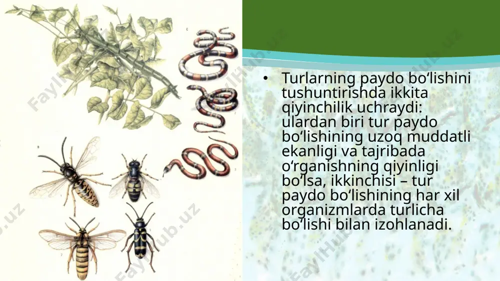turlarning paydo bo‘lishi. 10 - sinf - Page 4