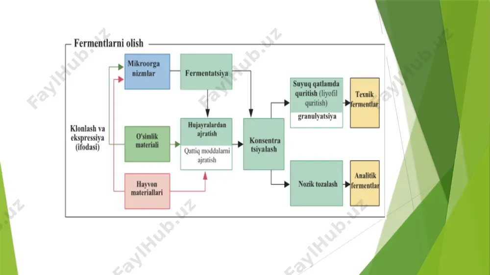sa uchta izoferment mavjud. ldh1 va cpk2 mi tashxisida juda muhimdir. № ldh uchun tahlil biokimyoviy qon testiga kiritilgan. normlar: cpk uchun tahlil biokimyoviy qon testiga kiritilgan. normlar: 1 yangi tug'ilgan chaqaloqlar - 2000 ed/l gacha 0 dan 6 oygacha bo'lgan chaqaloqlarda <295 ed/l 2 2 yoshgacha bo'lgan bolalar - 430 ed/l 18 yoshdan 90 yoshgacha bo'lgan erkaklar ko'rsatkichlari <171 ed/l 3 2 yoshdan 12 yoshgacha bo'lgan bolalar - 295 ed/l 18 yoshdan 90 yoshgacha bo'lgan ayollar ko'rsatkichlari <145 ed/l 4 12 yoshdan oshgan bolalar va kattalar - 250 ed/l homiladorlik 1 dan 36 haftagacha <145 ed/l image1.png image2.png /docprops/thumbnail.jpeg