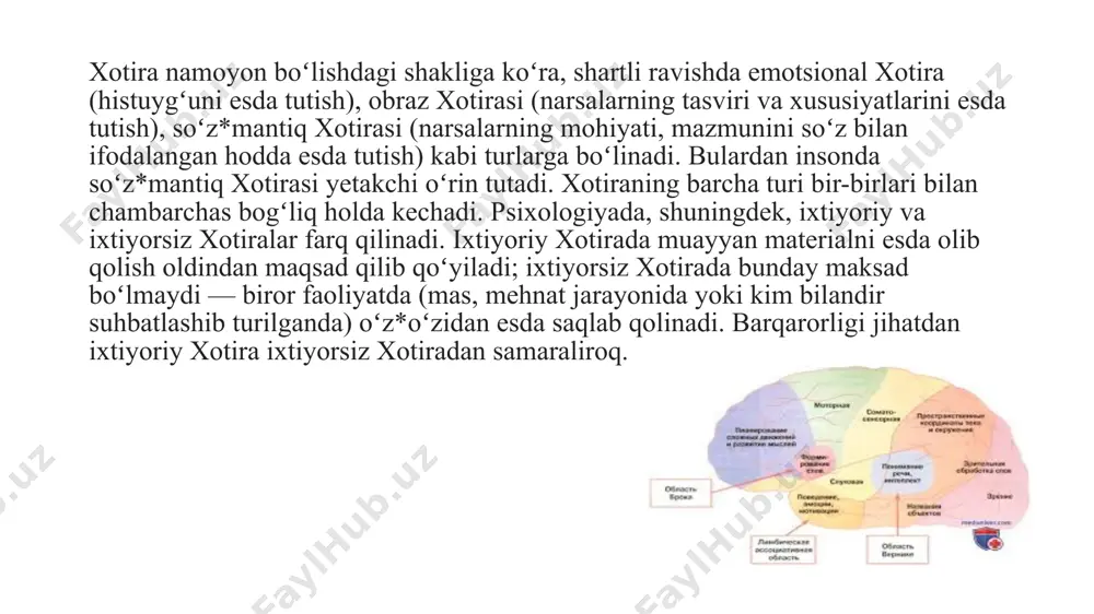 materialni mahkamlash va saqlash muddatiga ko'ra: bir zumda (to'g'ridan-to'g'ri, sensorli, iz, ultrashort) - izlarni soniyadan bir yoki ikki soniyagacha saqlaydi; qisqa muddatli (bir necha soniyadan bir necha daqiqagacha, ba'zan soatlargacha), saqlash hajmi bo'yicha o'rtacha, strukturaviy birliklar (axborot bloklari, katakchalar) soni bo'yicha tavsiflangan 7±2; operativ (qisqa muddatli, faol aralashuv sharoitida yoki harakatlarning oraliq natijalarini xotirada saqlashda); uzoq muddatli - umr bo'yi saqlashni ta'minlaydi - strategik ahamiyatga ega bo'lgan ma'lumotlarni oladi, uning imkoniyatlari deyarli cheksizdir). nospetsifik va spetsi̇fi̇k xotira buzilishlari xotira butun asab tizimining integrativ faoliyati bilan ta'minlanadi va miyaning biron bir qismi ham mnestik faoliyatni amalga oshirish uchun juda zarur emas. shu bilan birga, markaziy asab tizimining ayrim strukturaviy elementlarining roli bir xil emas, ular shikastlanganda turli alomatlar bilan ifodalanadi. xotiraning tarkibiy va funktsional tashkil etilishining tarkibiy qismlari sifatida quyidagilar ko'pincha deyiladi. miya yarim sharlarining prefrontal po'stlog'i - "ishchi" xotirani amalga oshiradi, buning yordamida kerakli vaqtda, masalan, muammoli vaziyat yuzaga kelganda, …