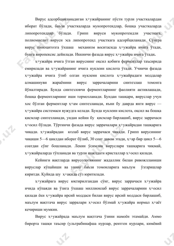ақтгача ўзини намоён этамайди. аммо бирорта ташқи таъсир (ультрабинафша нурлар, рентген нурлари, кимёвий моддалар) натижасида, вирус нуклеин кислотаси ҳ+ужайра днксидан ажралиб, кўпайиб, ўзига ўхшаш вирус заррачаларини ҳ+осил қилиши мумкин. вируснинг ҳ+ужайрага киришидан то кўпайишигача бўлган даврни бир неча бўлакларга бўлиб текширилади. биринчи давр- латент даври. бу даврда вирус заррачаларининг сони ўзгармайди. латент даврининг биринчи ярмида вирус заррачалари ҳ+ужайрада умуман учрамайди ва давр эклипс (йўқолиш) дейилади. иккинчи давр - вирус заррачалари сонининг ошиш давридир. бу давр вирус зарралари ҳ+ужайрадан чиқиши билан тугайди . вирус ҳ+ужайрага юқтирилганда, дастлаб вирус заррачаси ҳ+ужайра юзасига ёпишади, яъни адсорбцияланади. бу процесс ҳ+ам специфик хусусиятга эга бўлиб, бир вирус ҳ+амма ҳ+ужайрага ҳ+ам адсорбцияланавермайди, балки маълум ҳ+ужайрагагина адсорбцияланади. адсорбцияланиш жараёнида ҳ+ужайра ва вируснинг айрим қисмлари - рецепторлари иштирок этади. яъни, вирус ҳ+ужайрага кириш учун унинг рецептори ҳ+ужайра рецепторлари билан боғланиши керак. масалан, т- 2 бактериофагининг рецепторлари унинг ўсимта, тўғрироғи дум қисмдаги фибрилларида жойлашган. т-2 бактериофаглари сингари, махсус адсорбцияланиш …