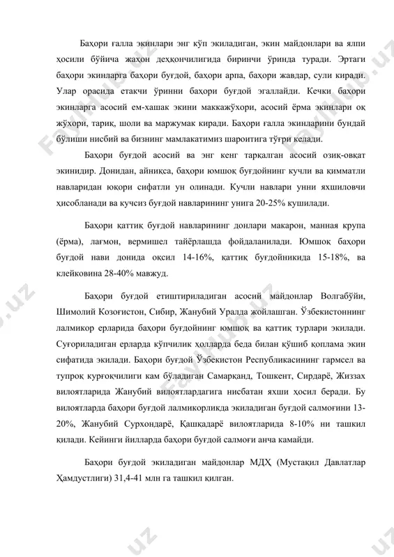 ни ташкил қилади. кейинги йилларда баҳори буғдой салмоғи анча камайди. баҳори буғдой экиладиган майдонлар мдҳ (мустақил давлатлар ҳамдустлиги) 31,4-41 млн га ташкил қилган. ўзбекистонда 1913 йилда буғдой экилган майдон 932 минг га бўлса, шундан 472 минг га ёки яримидан ортиғига баҳори буғдой экилган. бу кўрсаткич 1971-1975 йилларда мувофиқ ҳолда 496 ва 100 минг гектарни ташкил этган. кўриниб турибдики, кузда экилган буғдой баҳори буғдойга нисбатан тўрт баробар катта майдонга (396 минг) экилган. 1976-1980 йилларга келиб буғдой 55,5 минг гектарга шундан 555 минг гектарига баҳори буғдой экилган. 2000 йил ҳосили учун буғдой 1310 минг га экилиб шундан (40 минг га) баҳорда экилган. унинг ҳам бир қисми қоплама экин сифатида. буғдой ҳосилдорлиги ўзбекистонда 1913 йилда ўртача 5,5 ц/га, 1971-1976 й - 4,7 га/ц, 1976-1981 й - 9,3 га/ц ташкил қилган. баҳори буғдой ҳосили мувофиқ ҳолда 5,4, 4,3, 7,1 ц/га, кузда экилганда 5,6; 4,7; 9,5 га/ц бўлган. айниқса, лалмикорликда кузда ва баҳорда экилган буғдой …