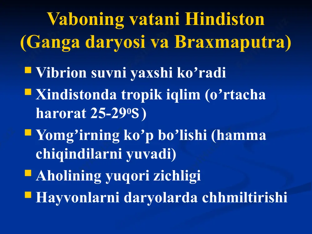 rkazda joylashadi. spora kislorodli sharoitda 30 - 40°c da yaxshi hosil boʼladi, 43°c dan yuqori va 15°c dan past haroratda spora hosil boʼlishi toʼxtaydi. spora hosil boʼlganda hujayra devori parchalanib ketadi va spora alohida holda tashqi muhitga tushadi. 25 kuydirgi qoʼzgʼatuvchisi oʼsishi: kuydirgi kasalligining qoʼzgʼatuvchisi aerob, fakultativ anaerob, rn 7,0-7,4 boʼlgan oddiy muhitlarda 35 –37°c da yaxshi oʼsadi. gpа da oʼstirilganda r –shakldagi yirik, chetlari gʼadir –budir koloniyalar hosil qiladi, koʼrinishi “sherning yolini eslatadi”. bunday kulturalar virulent hisoblanadi. silliq s –shaklidagi kulturalar esa kam virulentli boʼlib, organizmda kapsula hosil qilmaydi. oʼsishi: batsillalarni penitsillin qoʼshilgan gpа da oʼstirilganda, ular protoplastlarga aylanib, mayda sharchalart koʼrinishida “marjonga” oʼxshab joylashadi. batsillani gpb da oʼstirilganda esa bulon tiniq holda qoladi va probirea tubidi paxtaga oʼxshash choʼkma hosil boʼladi. fermentativ xossalari: batsillalar glyukoza, saxaroza, maltoza va boshqa qandlarni kislota hosil qilib, parchalaydi. аgar bu mikrobni tik qotirilgan jelatinaga sanchib ekilsa, avval jelatinani ustki qismi suyuladi, soʼng …