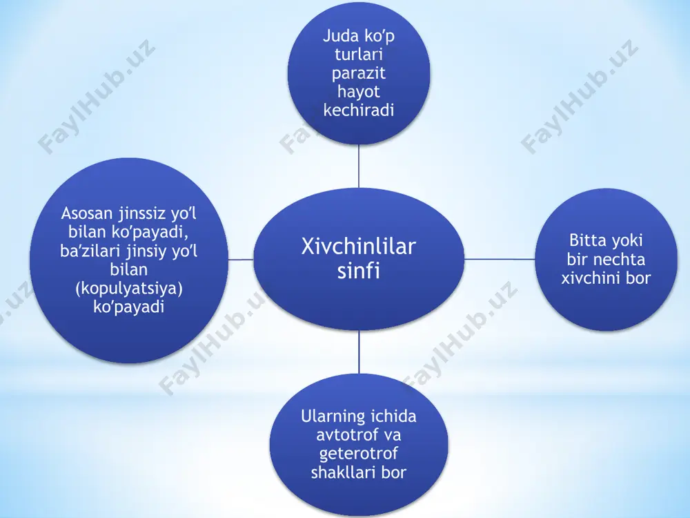 ozidagi leyshmanioma teri leshymaniozining diffuz moxov(lepra) shakli gemosporidiylar turkumi – haemosporidia qondan merozitlar eritrotsitlar ichiga kirib endoeritrotsitar shizogoniya boshlanadi. eritrotsitlar ichida merozoitlar shizontga aylanib, uzuksimon, amyobasimon shizont bosqichlarini oʼtib shizogoniya boshlanadi. pl. vivax -22 ta, pl. malriae – 6-12 ta, pl. falciparum – 12-18 ta merozoit xosil qiladi va eritrotsitlarni parchalab qonga tushadi, qondan yana eritrotsitlarga kirib sikl takrorlanadi pl. vivax va pl. falciparumda endoeritrotsitar shizogoniya 48 soat (3 kunlik bezgak), pl. malriaeda 72 soat (4 kunlik bezgak) davom etadi qondagi merozitlardan bir qismi yetilmagan erkak gamontlari mikrogametotsitlarga, ayol gamontlari makrogametotsitlarga aylanadi, ular keyingi rivoji uchun chivin organizmiga tushishi kerak shunday qilib, chivin uchun invazion bosqich mikro va makrogametotsitlar. chivin oshqozonida gametotsitlar mikro va makrogametaga aylanadi va urugʼlanib zigota xosil qiladi, gametalarning yetilishi 150 dan yuqorida boʼladi zigota, ookineta aylanadi, ookineta oshqozon devori ostida ootsistaga aylanib, sporogoniya bilan koʼpayib minglab sporozoitlar xosil qiladi bezgak tipik antroponoz, transmissiv yoʼl bilan yuqadi …