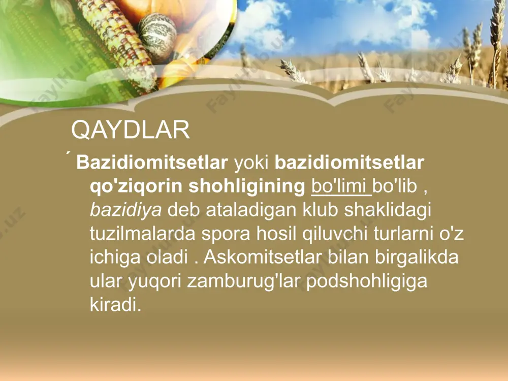 un juda foydali. 1910-yillarda sosiska achitqilar qo'shilishi 1930-yillarda germaniyada boshlangan, bu sanoat ayniqsa rivojlangan sssrda ozuqa achitqilarlari ishlab chiqarila boshlandi. tibbiyotda qo'llanilishi quritilgan pivo achitqilari dori vositalari va xun takviyeleri ishlab chiqarish uchun ishlatiladi. suyuq pivo achitqilari an'anaviy ravishda zaiflashgan va allergik kasalliklari bo'lgan odamlarga buyurilgan. oshqozon-ichak trakti florasini qo'llab-quvvatlovchi va tiklaydigan achitqilar asosidagi bir qator dorilar mavjud bo'lib, ular bolalarda o'tkir diareya alomatlarini engillashtiradi, qayta infektsiyani oldini oladi, irritabiy ichak sindromi bo'lgan bemorlarda ichak mushaklari qisqarishini kamaytiradi va xavfni kamaytiradi. har xil diareya turlari. kombucha kombucha achitqilar va sirka kislotasi bakteriyalarining birlashmasidir. uning rossiya imperiyasida qo'llanilishi 1900-yillarda boshlangan, shekilli, rus-yapon urushidan keyin joriy qilingan. kombucha va uning kultura suyuqligining antimikrobiyal va antiaterosklerotik xususiyatlari qayd etilgan. achitqilar ovqatni buzadi hayotiy faoliyat jarayonida achitqilar o'ziga xos metabolik yakuniy mahsulotlarni hosil qiladi. shu bilan birga, mahsulotlarning fizik va kimyoviy xossalari o'zgaradi - mahsulot "buziladi". mahsulotlardagi achitqilar o'sishi ko'pincha yalang'och ko'z bilan sirt …
