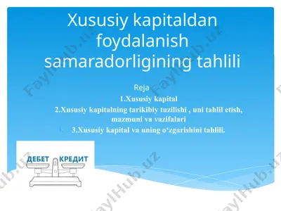 xususiy kapitaldan foydalanish samaradorligining tahlili — PPTX