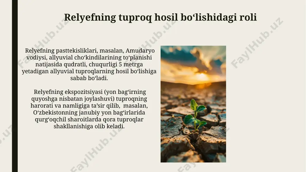 tuproq hosil bo‘lishida iqlimning relyefning o‘rni - Page 4
