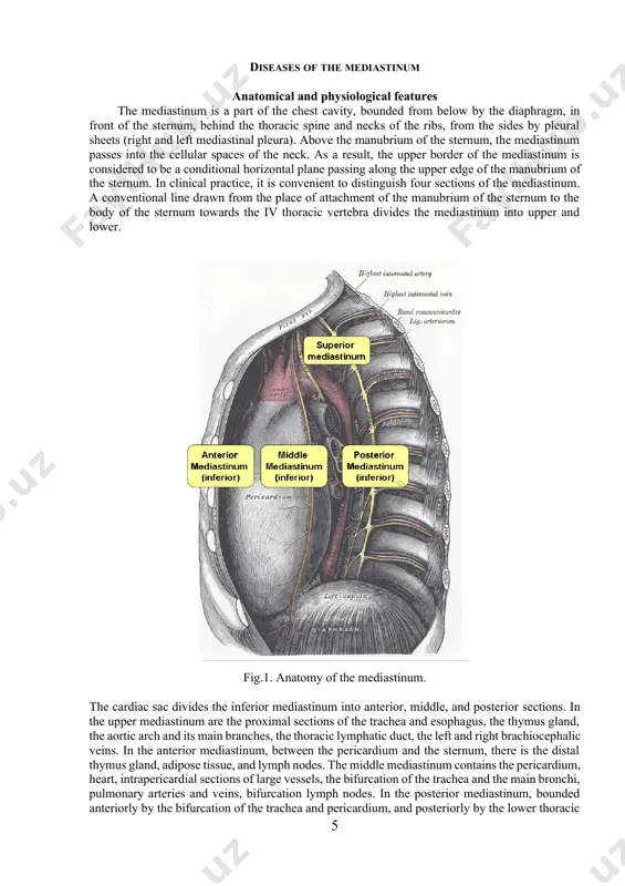 age to the mediastinal organs, which is accompanied by the corresponding symptoms , as well as bleeding, the development of mediastinal emphysema. for open mediastinal injuries, surgical treatment is indicated. the choice of the method of operation depends on the nature of the injury, the degree of infection of the wound, the general condition of the patient. inflammatory diseases acute mediastinitis is an acute purulent inflammation of the mediastinal tissue, occurring in most cases in the form of phlegmon and much less often in the form of a limited abscess - an abscess. most often, acute mediastinitis occurs as a result of open injuries of the mediastinum, perforation of the esophagus by a foreign body, with instrumental examination of the trachea and main bronchi, with failure of sutures after operations on the esophagus, with the spread of deep phlegmon of the neck to the tissue of the mediastinum. clinic and …