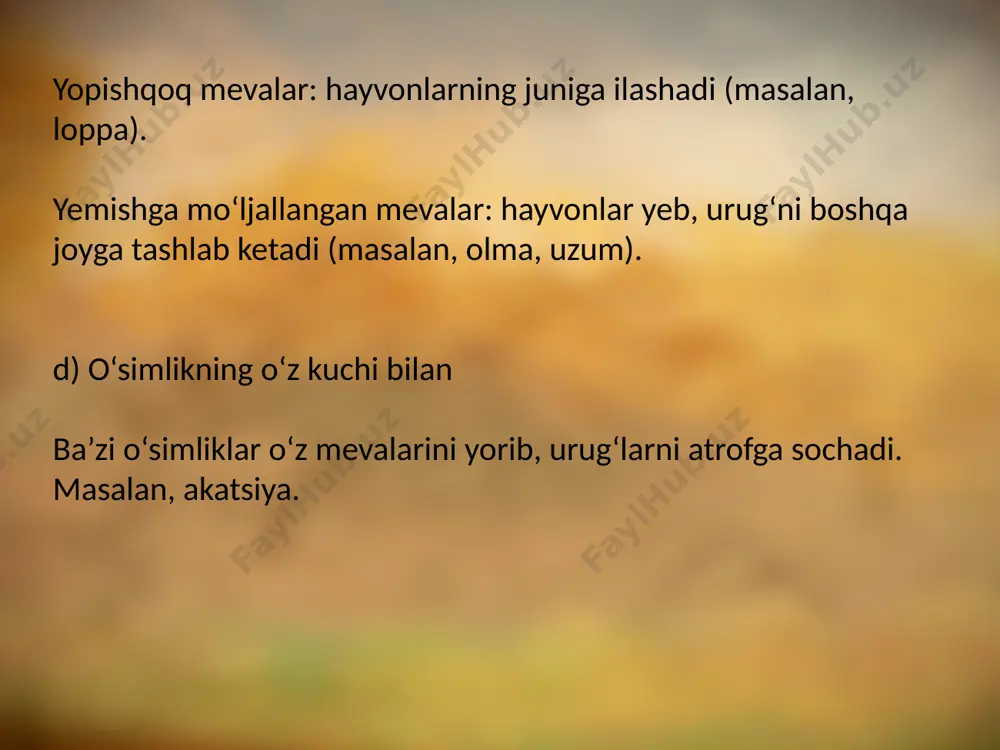 hini osonlashtiradi. ba‘zi o’simliklar (orxidiyadoshlar, shumg’iyadoshlar)ning urug’lari juda mayda va yengil, ular havoda shamol vositasida uzoq masofaga tarqaladi. markaziy osiyo cho’llarida o’sadigan ba‘zi o’simliklarni mevasi pishgandan keyin yer osti qismidan uziladi va cho’lda ancha joygacha shamol bilan uchib boradi, ayni vaqtda bir qanchasi bir-biri bilan chirmashib, kattakon shar bo’lib qoladi, silkinish vaqtida urug’lar to’kiladi. bunday o’simliklar dala bo’ylab yumalovchi deb ataladi (yantoq, sho’ra, boltiriq, boyalich). ko’pchilik o’simliklarning urug’ va mevalari hayvonlar vositasi bilan tarqaladi. masalan, qadaluvchi yoki yopishqoq , ilmoqli (ilgakka o’xshash o’simtali) mevalar hayvon juniga ilashib uzoqlarga ketadi. ular (sariq choy, ittikon, temirtikon, yovvoyi sabzi, qo’ytikon va boshqalar) ning urug’ va mevalari shu yo’l bilan tarqaladi. e’tiboringiz uchun rahmat! image2.jpeg image3.jpeg image4.emf image5.emf image6.emf image7.emf image8.emf image9.emf image1.jpeg /docprops/thumbnail.jpeg