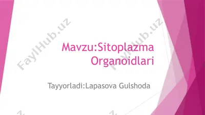sitoplazma organoidlari — PPTX