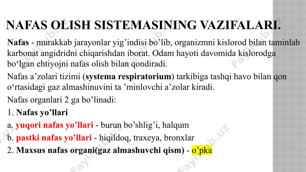ii. burun bo’shlig’i devorlari-4 ta devori bor: ❖ paries superior ➢ cartilago nasi lateralis ➢ ossa nasalis ➢ pars nasalis ossis frontalis ➢ lamina cribrosa ossis ethmoidalis ➢ corpus ossis sphenoidalis ❖ paries inferior ➢ processus palatinus maxillae ➢ lamina horizontalis ossis palatinae ❖ paries lateralis ➢ facies nasalis maxillae ➢ processus frontalis maxillae ➢ os lacrimale ➢ labyrinthus ethmoidalis ➢ lamina perpendicularis ossis palatinae ➢ lamina medialis processus pterygoidea ➢ concha nasalis inferior ❖ paries medialis yoki septum nasi - burun to’sig’i septum nasi 2 qismdan iborat: ❖ pars ossea - suyak qism ➢ vomer ➢ lamina perpendicularis ossis ethmoidalis ➢ crista nasalis ❖ pars cartilaginea - tog’ay qism ➢ 1) cartilago septium nasi ➢ 2) pars membranacea - burun dahlizida nareslar orasidagi pardali qismi ➢ 3) pars cutanea - tashqi tomondan ko’rinadigan to’siqni qoplagan teri qismi sinus paranasales - burun atrofi bo’shliqlari. funksiyalari: • ichki yuzasi shilliq qavat …