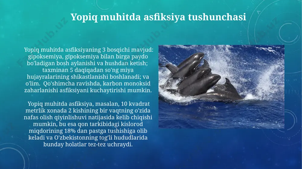 yopiq muhitdagi asfeksiya - Page 5