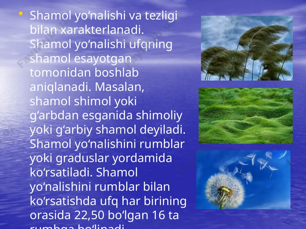 shamollar va ularning turlari - Page 5