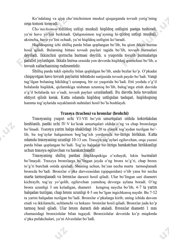 aylari birikadi. cho’michsimon tog’aylarning bu o’simtalaridan qalqonsimon tog’ay burchagining ichki yuzasiga qarab, o’rtasida tovush yorig’i bo’lgan ikkita tovush payi chiqadi. tovush yorig’i nafas olinganda kengayadi, chiqarilganda torayadi. erkaklarning tovush payi uzunroq (20-24 mm), ayollarda kaltaroq (15-18 mm) bo’ladi. erkaklarning tovushi past, ayollarniki yuqoriroq bo’ladi. tovush paylari orasida tovush yorig’i bo’ladi. hiqildoq ustligi (qopqog’i) tog’ayi bir oz egilgan, egiluvchan bo’lganligidan harakatchandir. hiqildoq ustligi tog’ayi bitta bog’lag’ich bilan qalqonsimon tog’ayning ichki yuzasiga, ikkinchi bog’lag’ich bilan til osti suyagiga birikkan. hiqildoq ustligi tog’ayi ovqat yutilayotganda hiqildoqni berkitadi. hiqildoq muskullari ixtiyoriy muskullar bo’lib, ular qisqarganda tog’aylar harakatlanadi. uzuksimon-qalqonsimon muskul hiqildoq muskullarining eng kattasi va kuchlisi bo’lib, u qisqarganda tovush paylari taranglashadi. tovush muskullari qalqonsimon tog’ayga, ichkaridan cho’michsimon tog’ayga va muskul to’siqlariga birikadi, ular qisqarganda tovush paylari bo’shashadi. bu muskullar maymunlarda bo’lmaydi. uzuksimon-cho’michsimon muskul orqa tomonda joylashgan bo’lib, tovush paylarini taranglashtiradi va tovush yorig’ini kengaytiradi. uzuksimon- cho’michsimon yon muskul tovush yorig’ini toraytiradi va tovush payini …