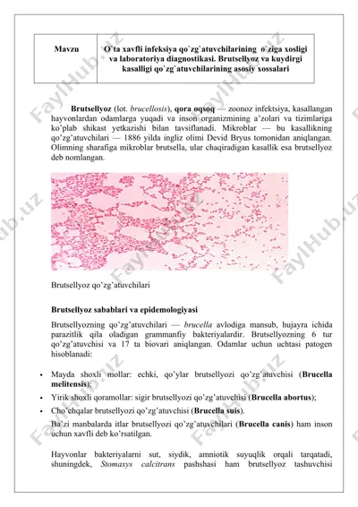 brutsellyoz — DOCX