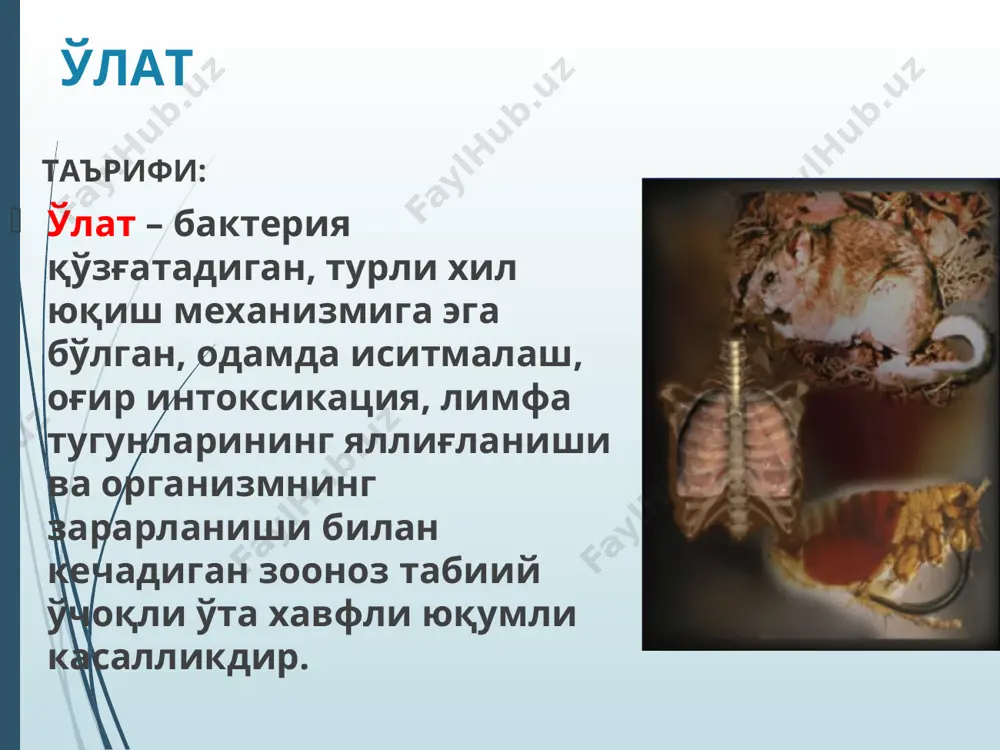 к бўлган. ўлатнинг бўлиб ўтган пандемияларида 200 млн.га яқин киши вафот этган. тарихий маълумотлар ва географик тарқалиши (давоми) д.к.заболотний ўлат табиий ўчоқли касаллик эканлиги тўғрисидаги гипотезани илгари сурган бўлса, учинчи пандемия даврида, аниқроғи, 1897 йилда француз олими александр йерсин ва унинг япониялик ҳамкасби шибасабуро китазатолар бемор одам ва каламушдан ўлат касаллигининг қўзғатувчисини аниқлаган. тарихий маълумотлар ва географик тарқалиши (давоми) огата ва симонлар 1898 йилда ўлат касаллиги тарқалишида бургаларнинг роли борлигини эътироф этишган. д.к.заболотний ва л.м.исаевлар 1911 йилда чўлдан тутиб олиб келинган кемирувчи (суғур) дан, и.а.деминский 1912 йилда юмронқозиқдан ўлат қўзғатувчисини ажратиб олган. бокот ва мартинлар ўлат қўзғатувчиси юққан бургадан «ўлат блоки» феноменини аниқлашга муваффақ бўлган. тарихий маълумотлар ва географик тарқалиши (давоми) охирги йилларда дунёда ўлат касаллигининг эпидемияси кузатилмаяпти,бугунги кунда бу касаллик фақат спорадик (тарқоқ) ҳолатда чўл ва тоғ табиий ўчоқ ҳудудларида рўйхатга олинмоқда. республикамизда ўлат касаллигининг охирги ҳолатлари 1990,1999 йилларда навоий вилоятининг чўл ҳудудларида рўйхатга олинган (учқудуқ ва томди туманларида). …