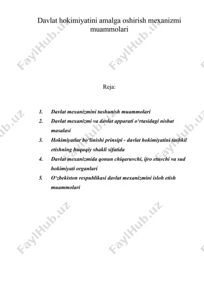 davlat hokimiyatini amalga oshirish mexanizmi muammolari — DOC