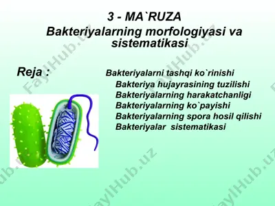 bakteriyalarning morfologik tuzilishi — PPT