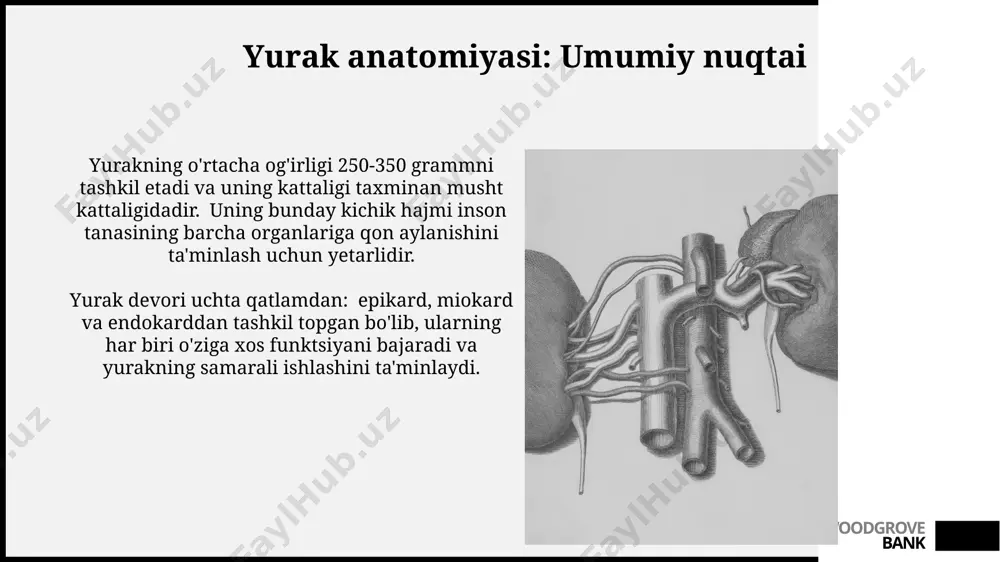 tini tartibga solish yurak faoliyatini simpatik nerv sistemasining ta'siri ostida adrenalin va noradrenalin gormonlari 10-20% ga tezlashishi kuzatiladi, bu esa yurak urish tezligining oshishiga olib keladi. yurak faoliyatining tartibga solinishida qalqonsimon bez gormoni tiroksin muhim rol o'ynaydi, uning ortiqcha miqdori yurak urish tezligini va kuchini oshiradi, 30% gacha ta'sir ko'rsatishi mumkin. woodgrove bank yurak chiqishi va zarb hajmi zarb hajmi, bitta yurak qisqarishi bilan chap qorinchikdan chiqariladigan qon hajmini (taxminan 70 ml) anglatadi va pre- va afterload, shuningdek, miokard qisqarishi kuchi bilan belgilanadi. yurak chiqishining normal qiymati yosh, jismoniy holat va boshqa omillarga bog'liq bo'lib, maksimal jismoniy faoliyat paytida 4-5 barobarga ortadi va yoshga qarab ham farqlanadi. woodgrove bank avtonom nerv sistemasining ta'siri parasimpatik ta'sir esa yurak urish tezligini pasaytiradi, atrioventrikulyar tugun o'tkazuvchanligini sekinlashtirib, yurak ritmini tartibga soladi. simpatik stimulyatsiya adrenalin va noradrenalin ajralishini oshirib, yurak mushaklarining qisqarish kuchini va yurak urish tezligini 20-30% ga oshiradi. woodgrove bank elektrokardiogramma (ekg) …