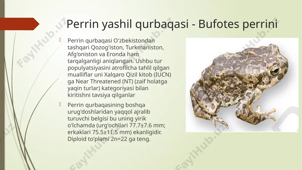 rkunandalarini, shuningdek, odam va hayvonlarning jiddiy kasalliklarining patogenlarini olib yuruvchi umurtqasiz hayvonlarni yo'q qiladi. bitta o't qurbaqasi yozda 1,2 mingga yaqin zararli hasharotlarni eyishga qodir. toadlar, asosan tungi ovchilar, qushlar yetib bo'lmaydigan ko'plab slugs va tungi hasharotlarni eyishadi. v g'arbiy yevropa zararkunandalarni yo'q qilish uchun qurbaqalar issiqxonalar va issiqxonalarga chiqariladi. nyuts katta raqam chivin lichinkalarini yo'q qilish. laboratoriyalarda fiziologik tajribalar o'tkazish uchun aksolotllar - yo'qolgan tana qismlarini tezda tiklash uchun ajoyib qobiliyatga ega bo'lgan amerika amblystones lichinkalari etishtiriladi. amfibiyalarning ikralari, kurtaklar va ularning o'zlari ko'plab ov baliqlari va qushlar uchun ozuqa hisoblanadi. amfibiyalar mo'ynali hayvonlarning ayrim turlari (parom, norka, otter) ratsionining muhim qismidir. ba'zi mamlakatlarda odamlar amfibiyalarni oziq-ovqat uchun ishlatishadi ( janubi-sharqiy osiyo, frantsiya, amerika). buqa qurbaqa yetishtiriladigan fermalar bor. bir kishi ovqat pishirish uchun orqa oyoq-qo'llarini ishlatadi (juftining og'irligi 250-400 g), qurbaqa tanasining qolgan qismi qayta ishlanadi va chorva mollarini boqish uchun ketadi. e’tiboringiz uchun raxmat image1.png image2.png image3.png …