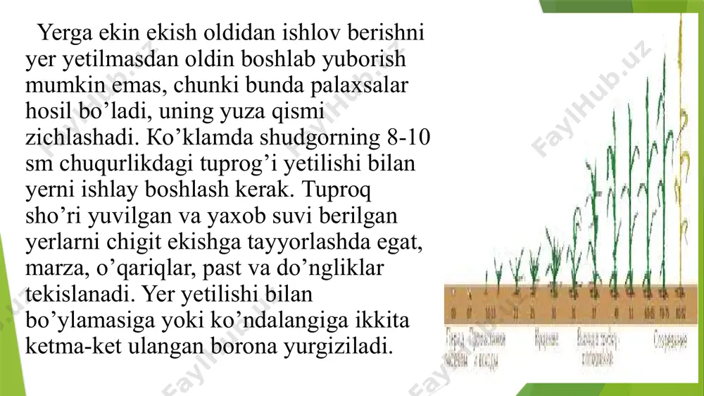 ivator seyalka va кas-3,5 markali o’rnatma seyalkadan foydalaniladi. urug’ seyalkaning tebranish nati-jasida panjalar ochib ketgan egatchalar tagiga 6-11 sm kenglikda yo’l-yo’l bo’lib tushadi. seyalkaning prujinali boronasi tuproq betini tekislaydi va urug’ ustiga biroz tuproq tortib uni ko’madi. dukkakli don va yorma qilinadigan ekinlarni qatorsiz ekilganda yaxshi natija beradi. tasma shaklida ekish. bunda 2 yoki bir necha qator bir-biriga yaqin qilib ekiladi. har bir qatorlar orasi o’simlikning xususiyatiga qarab 7-8-15 sm, bir qo’sh qator bilan, ikkinchi qo’sh qatorlar orasi 45-60 sm bo’ladi. bunday qatorlarni tasma deyiladi. tariq, sabzi, piyoz va boshqa ekinlar shu usulda ekiladi. egat tagiga ekish. issiq va qurg’oqchil, tuproqning yuza qatlami tez quriydigan hamda tog’li tumanlarda don ekinlarining urug’ini egat ochib, egat tagiga ekish yaxshi natija beradi. bunda seyalka soshniklarining oldiga egat ochadigan maxsus panjalar o’rnatiladi, u 12-15 sm chuqurlikda va 45 sm kenglikda egat ochadi. кeng qatorlab ekish. chigit, makkajo’xori, lavlagi, oq jo’xori kabi ekinlar keng qatorlab …