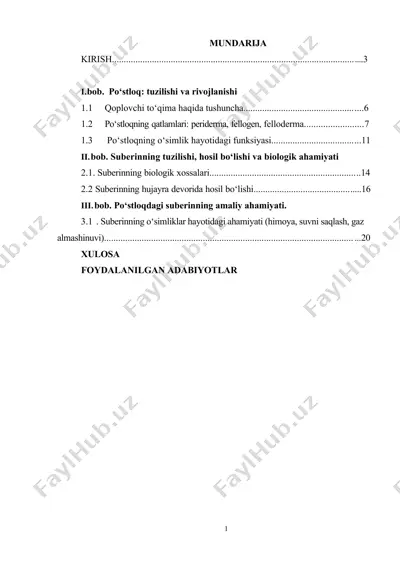 po‘stloq: tuzilishi va rivojlanishi — DOCX