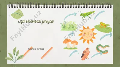 oqsil biosintezi jarayoni — PPTX