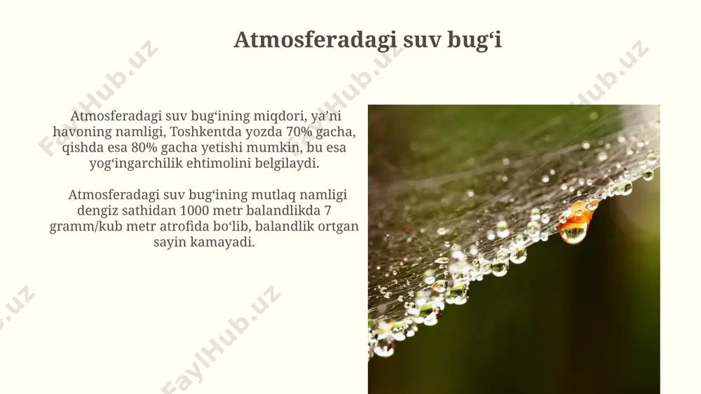 atmosferadagi suvlar. nisbiy va mutlaq namlik - Page 3