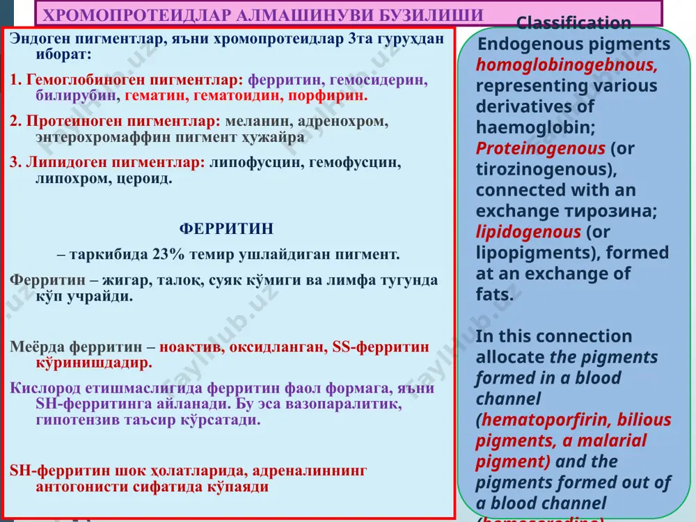 sis, unaerobic infections, a malaria). аралаш дистрофиялар маҳаллий гемосидерозга мисол ўпка гемосидерози. сабаблари: ревматик митрал порок, кардиосклерозда ўпкада қоннинг димланиши. ўпкада сурункали веноз димланиш, томир девори ўтказувчанлигининг ошиши. ўпкага диапедез қон қуйилишлар. альвеолалар оралиғида, томирлар атрофида кўп миқдорда сидеробластларнинг тўпланиши. сидеробластларнинг альвеолалар бўшлиғига тушиши ва балғам билан ажралиши – “юрак пороги ҳужайраси” дейилади. at long venous stagnation in the lungs, arising owing to chronic warm insufficiency, are observed plural diapeptidase hemorrhages. formed thus hemosiderin it is absorbed mononuclear by cages of alveoluses. аралаш дистрофиялар билирубин – ўт-сафро пигменти 1. рэсда эритроцит парчаланиши, гемнинг ажралиши. 2. гем протопорфирин халқаси темирни йўқотиши. 3. биливердин пайдо бўлиши. 4. биливердиннинг оқсил билан қўшилиб боғланган билирубинга айланиши. 5. гепатоцитларнинг глюкурон кислотаси ёрдамида қондан билирубинни олиб ўт капиллярига хайдаши. 6. ундан нажасда стеркобиллин, сийдикда уробилин пайдо бўлиши. билирубин алмашинуви бузилиши – сариқлик (желтуха) дейилади. сариқликнинг 3та формаси мавжуд: 1. гемолитик сариқлик (инфекция: сепсис, безгак, қайталама тиф; …