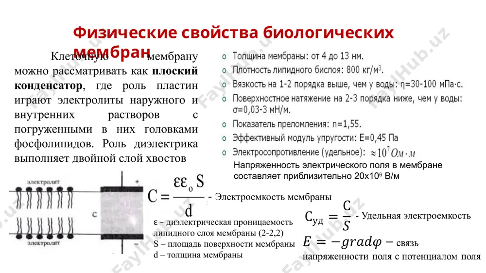 e60.png image61.png image62.png image63.png image64.png image65.png /docprops/thumbnail.jpeg