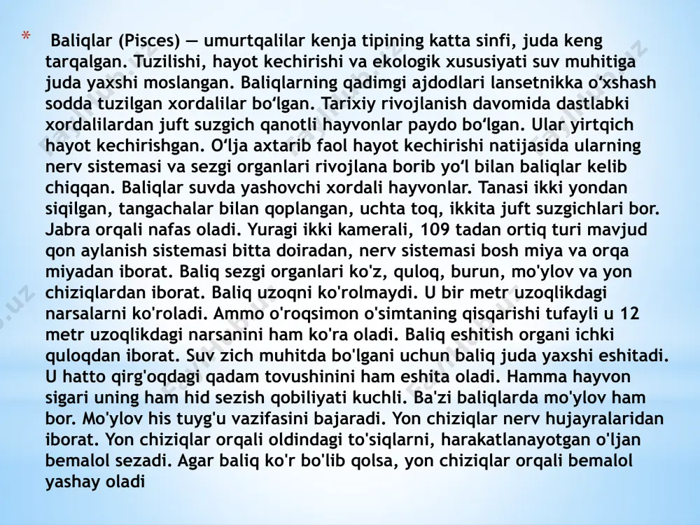 a ularni faqat tajribali baliq saqlovchilari saqlaydi.disklar ajoyib ota-onalar va sutemizuvchilar kabi ota-onaga o'xshaydi. yosh disklar ona cichlid tanasining yuzasidan yashiradigan shilimshiq bilan oziqlanadi. bu shilimshiqning ozuqaviy xususiyati yosh o'smirlik davrida o'zgaradi. ikkala ota-ona ham shilimshiqni yashiradi. erkak disklar o'z yoshlariga ko'proq qarashadi; shuning uchun tug'ilgandan keyin bir urg'ochi baliqchalar ajratiladi.erkak nafaqat bolalarini boqadi, balki ularni har qanday tahdidlardan himoya qiladi va ular uchun kurashadi. qon to'tiqushi cichlid (amphilophus citrinellus x paraneetroplus synspilus.)qon to'tiqushto'tiqush balig'i cichlid oilasining a'zosi bo'lib, markaziy amerikaning chuchuk suv tizimiga xosdir. bu baliqlarni boshqa oilaning sho'r suvli baliqlari bo'lgan to'tiqush baliqlari bilan aralashtirib yubormaslik kerak.baliqchilar orasida qon to'tiqushlari oraliq baliqchilar tomonidan chidamli deb hisoblanadi, ammo yangi boshlovchi ularni saqlamasligi kerak.qon to'tiqushi cichlid ajoyib ota-onalar qiladi, chunki ular hali tuxum ichida bo'lgan bolalariga g'amxo'rlik qilishadi. tuxum qo'ygandan so'ng, ayol butun vaqtini tuxumlarga qarashga bag'ishlaydi. u har qanday xavfni sezsa, tuxumlarni bir joydan xavfsizroq joyga olib boradi. agar …