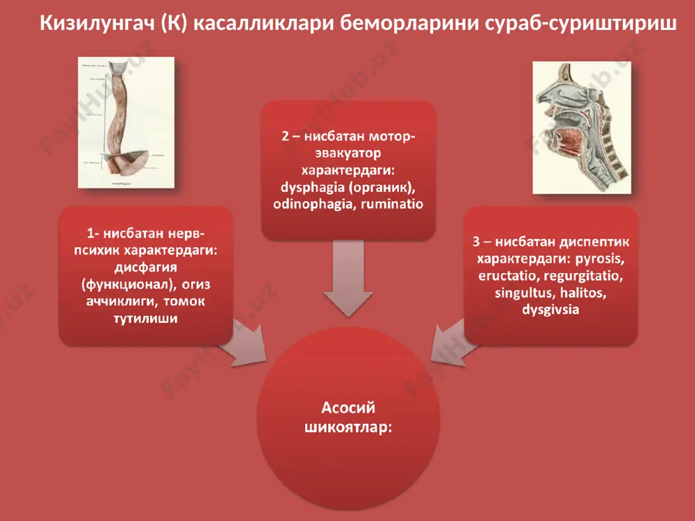 я кузатилади корин кузатилишидаги узига хос холатлар расм № корин олд деворида куп учрайдиган хирургик чандиклар хирургик чандиклар унг ковурга ейидаги чандик урта олди чандиги аппендэкто- миядаги чандик урта чандик ков усти чандиги ков чурра- сидаги чандик веноз кон айланишнинг учта мухим коллатерал тури мавжуд. улар куйидаги веноз кон томирлар обструкциясида очилади: 1 – юкори кавак вена (корин олд девори юкори кисмидаги веноз кон томирлари кенгаяди ва кон окими пастга интилади); 2 – пастки кавак вена (корин ен деворларидаги веноз кон томирлар кенгаяди ва кон окими пастга интилади); 3 – портал веноз тизими (киндик атрофидаги веналар кенгаяди ва киндикдан юкорида жойлашган вена томирларида кон окими юкорига, пастдагиларида эса пастга караб интилади); расм № корин олд деворидаги веноз анастомозлар вариантлари. а – норма. б – портал гипертензияда. в – пастки кавак вена обструкциясида. * корин ен контури назорати расм № корин ен контури турлари живота. а. купидон камони (панкреатитда); б. семизлик; …