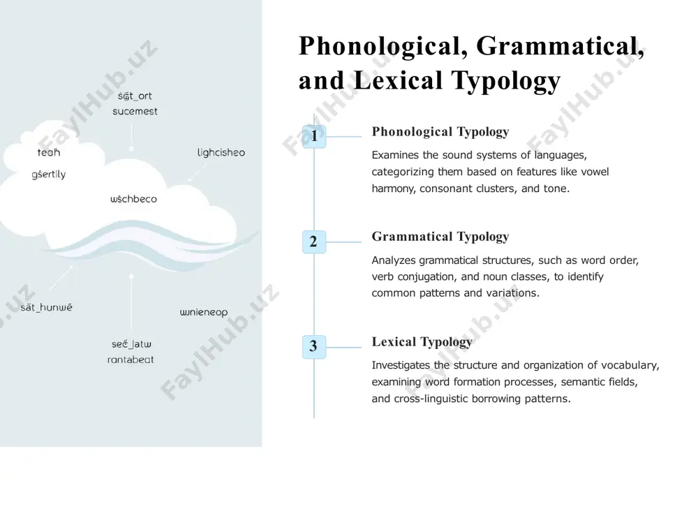 typological studies - Page 5