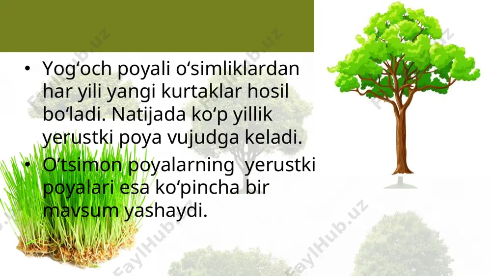 poyalarning xilma-xilligi. 5 - sinf - Page 4