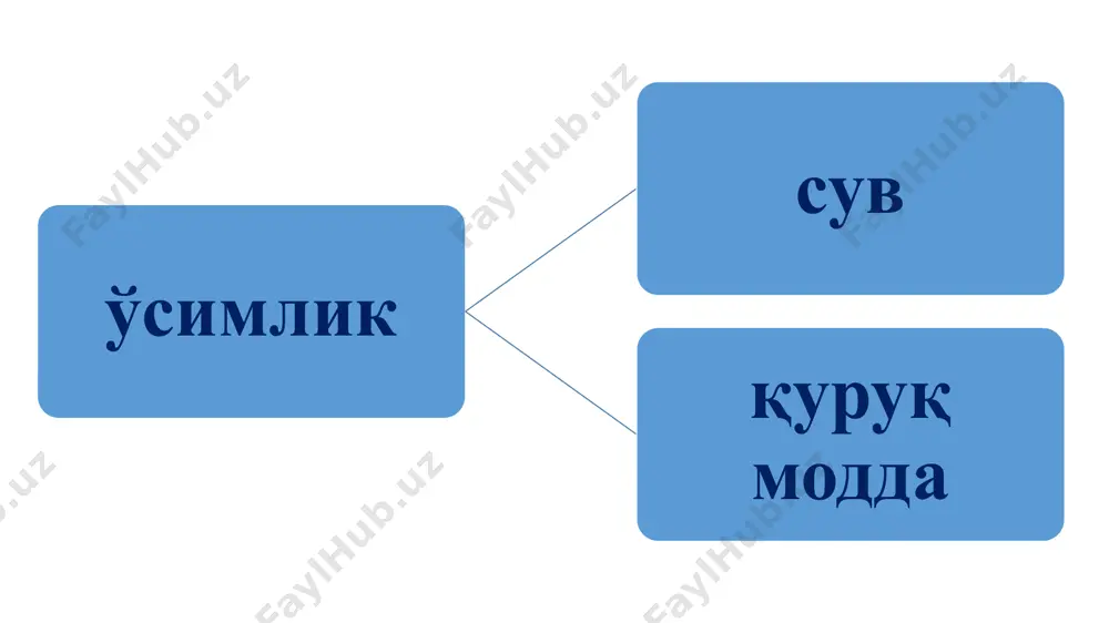 усимликларнинг кимёвий таркиби ва озиқланиши - Page 5