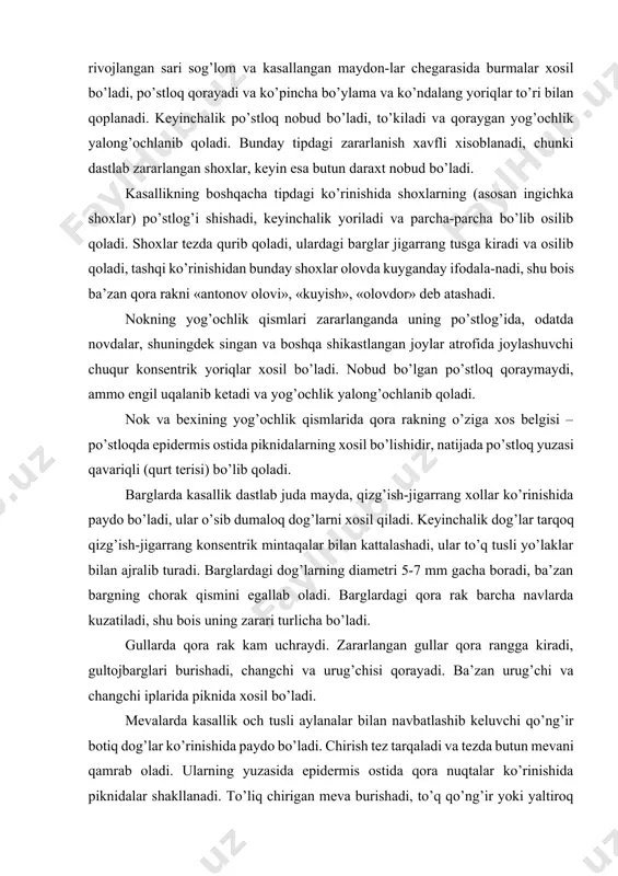 bo’lishidir, natijada po’stloq yuzasi qavariqli (qurt terisi) bo’lib qoladi. barglarda kasallik dastlab juda mayda, qizg’ish-jigarrang xollar ko’rinishida paydo bo’ladi, ular o’sib dumaloq dog’larni xosil qiladi. keyinchalik dog’lar tarqoq qizg’ish-jigarrang konsentrik mintaqalar bilan kattalashadi, ular to’q tusli yo’laklar bilan ajralib turadi. barglardagi dog’larning diametri 5-7 mm gacha boradi, ba’zan bargning chorak qismini egallab oladi. barglardagi qora rak barcha navlarda kuzatiladi, shu bois uning zarari turlicha bo’ladi. gullarda qora rak kam uchraydi. zararlangan gullar qora rangga kiradi, gultojbarglari burishadi, changchi va urug’chisi qorayadi. ba’zan urug’chi va changchi iplarida piknida xosil bo’ladi. mevalarda kasallik och tusli aylanalar bilan navbatlashib keluvchi qo’ng’ir botiq dog’lar ko’rinishida paydo bo’ladi. chirish tez tarqaladi va tezda butun mevani qamrab oladi. ularning yuzasida epidermis ostida qora nuqtalar ko’rinishida piknidalar shakllanadi. to’liq chirigan meva burishadi, to’q qo’ng’ir yoki yaltiroq qora tusga kiradi va piknidalar bilan qoplanadi. piknidalarning zichligi 200 dona/sm2 ga etishi mumkin. mevalar asosan yig’im-terimdan oldin kuchli zararlanadi, ba’zan …