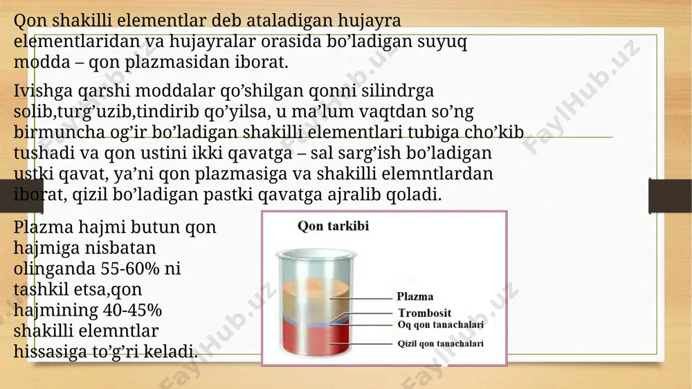 sit eozinofil bazofil agranulotsit monotsit limfotsit neytrofil (mikrofag) segment yadroli tayoqcha yadroli yosh neytrofil (metamiyolitsit) b-ga bog’liq limfotsit t-ga bog’liq limfotsit eozonofil (2-4%)- ikkita yadroli,tarkibida gistamin, fosfolipidlar, dnk bo’ladi. eozonofillar oqsil tabiatli toksinlarni parchalash va zararlantirishda ishtirok etadi. bazofillar (0-1%) – sitoplazmasi tarkibida granular, ana shu granula tarkibida geparin va gistamin bo’ladi.bazofillar soni o’tkir yalig’lanishning tiklanish davrida ko’payadi.mana shu hujayralarda bo’ladigan geparin va boshqa moddalar yallig’lanish o’chog’ida qon ivib qolishiga to’sqinlik qiladi va shu bilan halok bo’lgan to’qimalarning so’rilib jarohatning bitishiga yordam beradi. neytrofillar juda serharakat hujayralar bo’lib, ta’sirlanayotgan va yalig’lanayotgan joylarga tez boradi.yallig’lanish joylarida mikroblar bo’lsa ularni fagotsitlaydi.shu sababdan ularni mikrofaglar deyishadi.ularda birtalay fermentlar,jumladan,amilolitik va proteolitik fermentlar. segment yadroli neyrtofil (54-73%) - bular yetuk neytrofillardir. tayoqchasimon yadroli neytrofil (3-6%) – bir muncha navqiron xillari t-limfotsit – ko’mik qismda hosil boladi,keyinchalik timusga(buqoq bezi) o’tib garmonga o’xshash modular tasirida t- limfotsitga aylanadi.keyin limfoid orginlarga o’tadi.bularning bir qismi to’qima suyuqliklari va periferik …